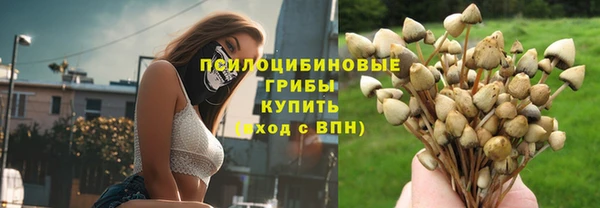 винт Алзамай