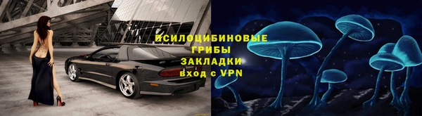 дмт Алексин