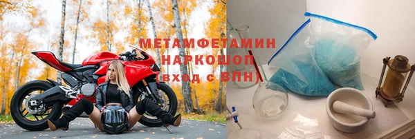 дживик Ельня